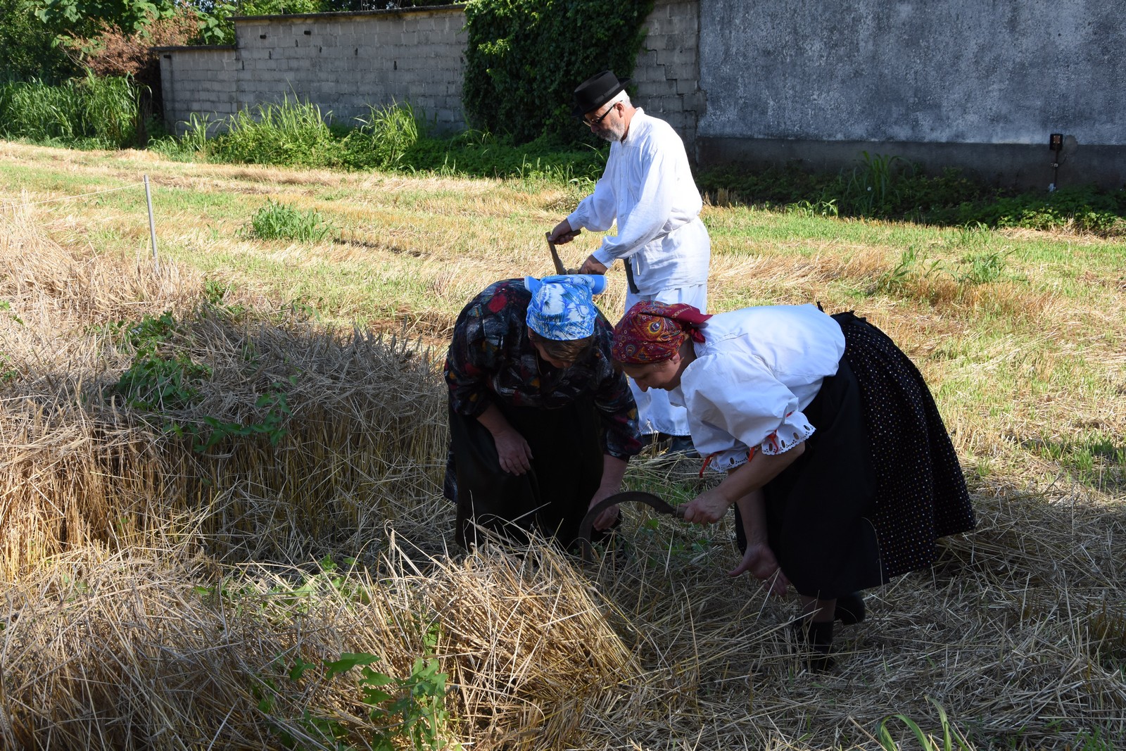 Mamičina žetva u Pušćinama