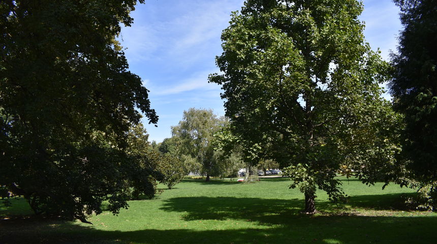 Čakovec, park Čakovec, park