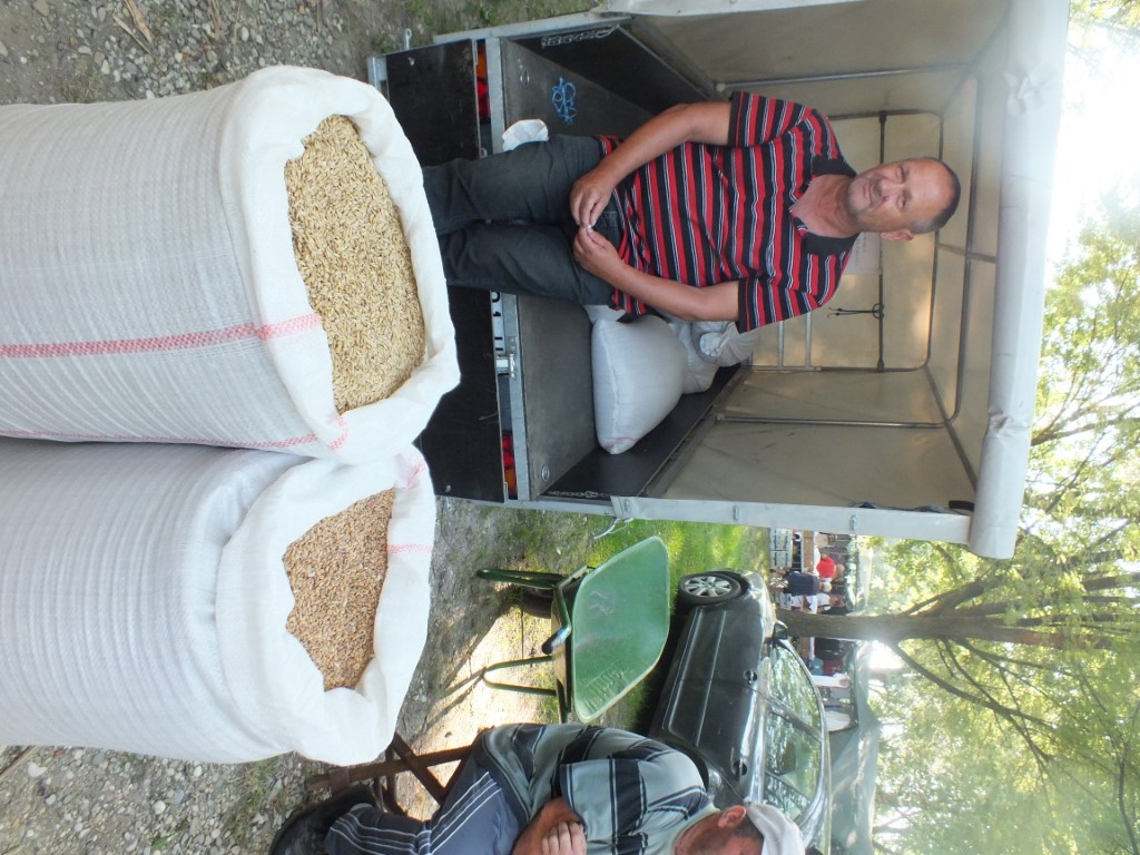 Image 5810853 (auto)