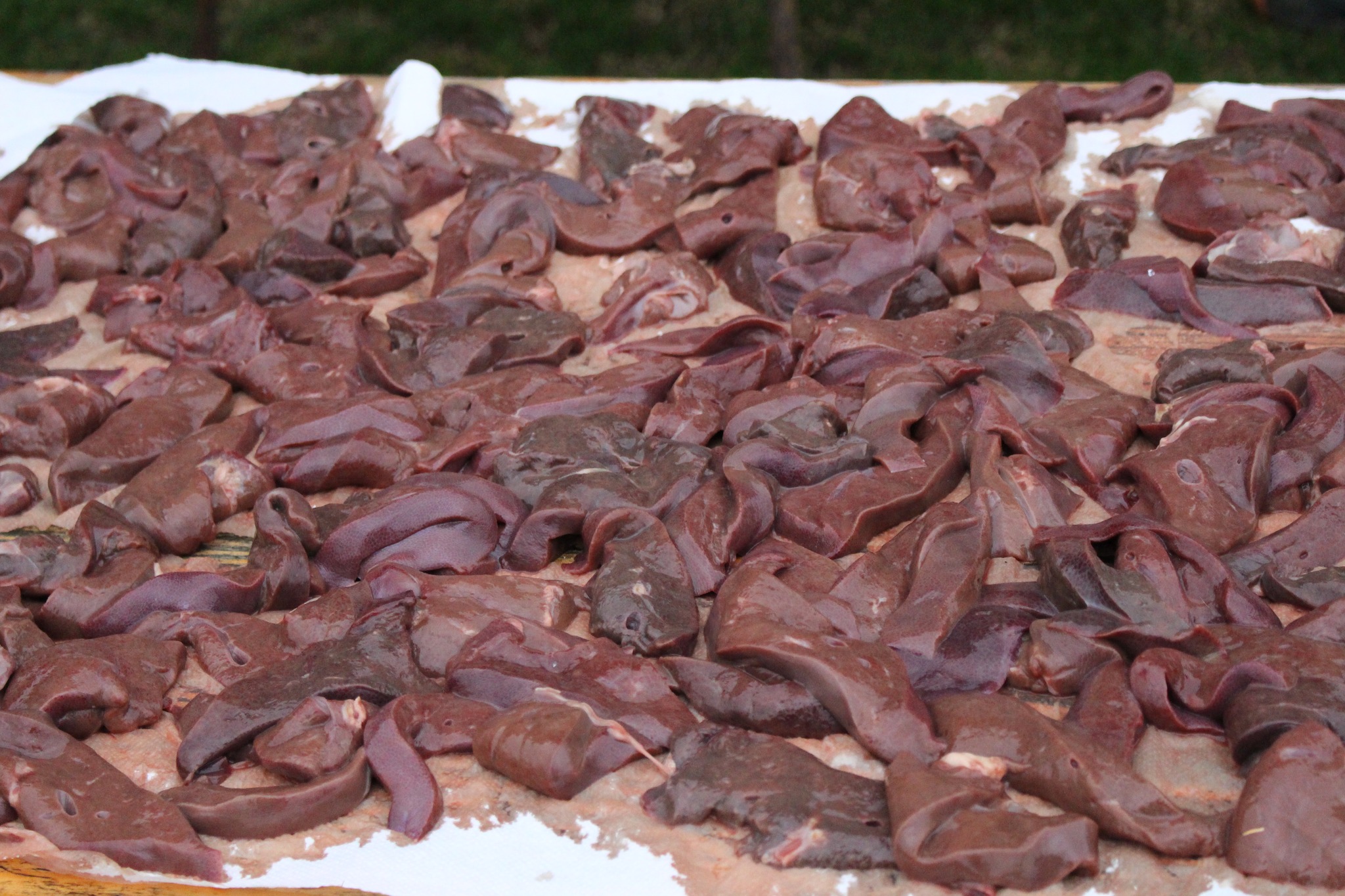 Tradicija u kotoripskom Graničaru: Okupljanje članova uz kolinjske delicije