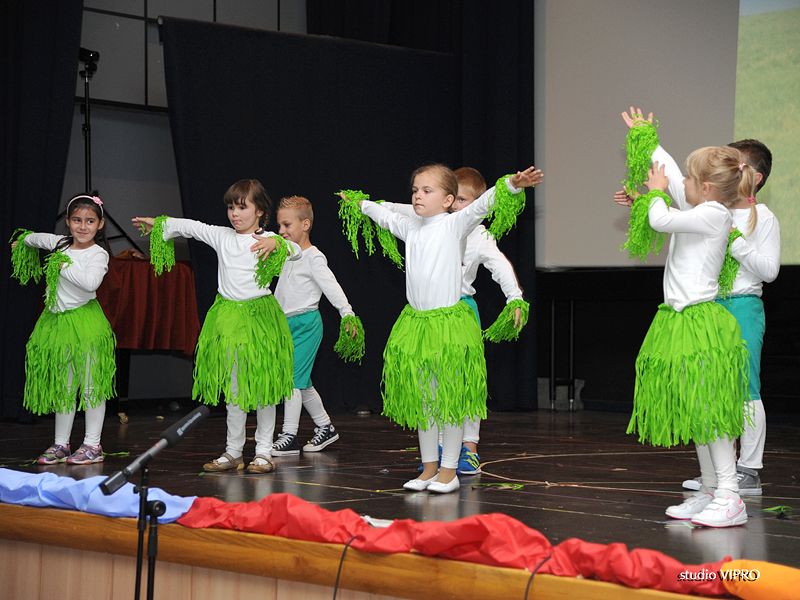 357315561vipro017139326