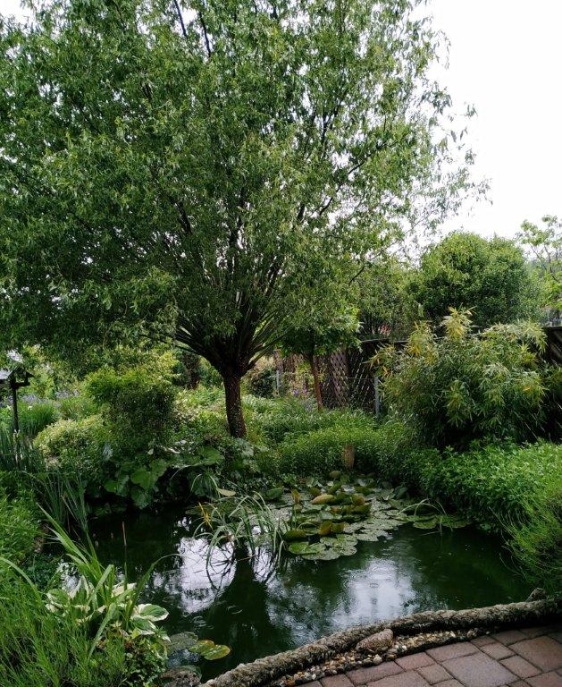 Biljno carstvo Vanje i Alena u Šenkovcu: Njihov vrt ‘Četiri godišnja doba’ mami poglede