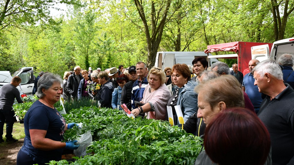 ČAKOVEČKI SAJAM SRIJEDOM Najveći interes i dalje vlada za presadnice