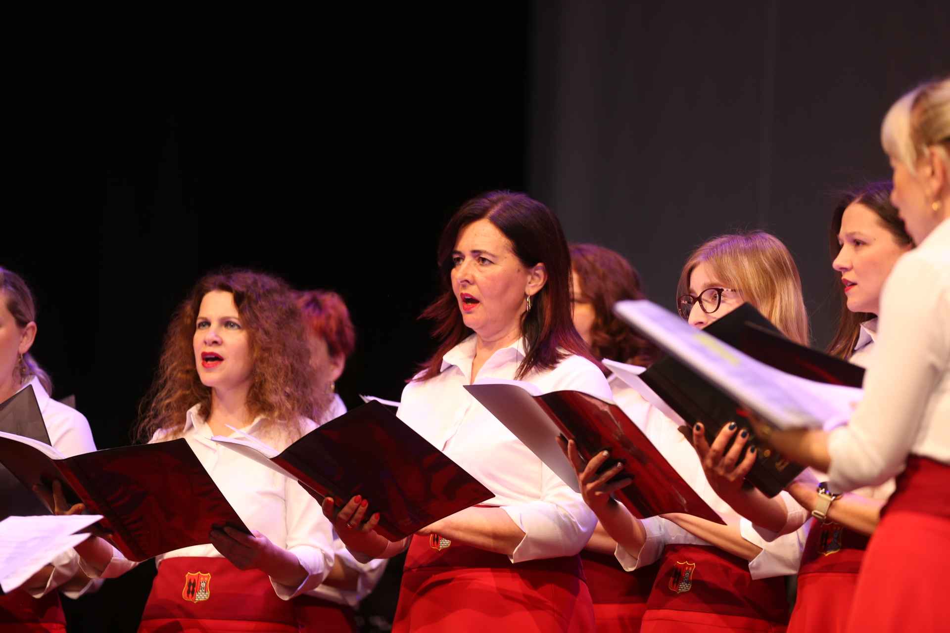 20 godina zrinske garde 20 godina zrinske garde