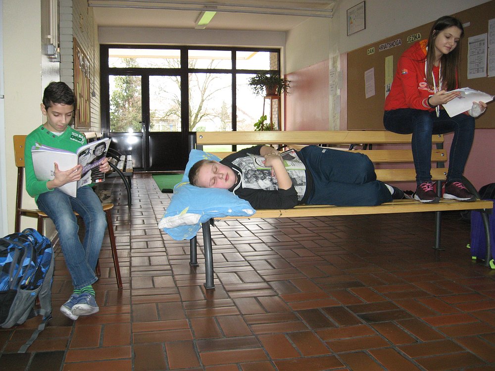 160311crticaojeziku02423854