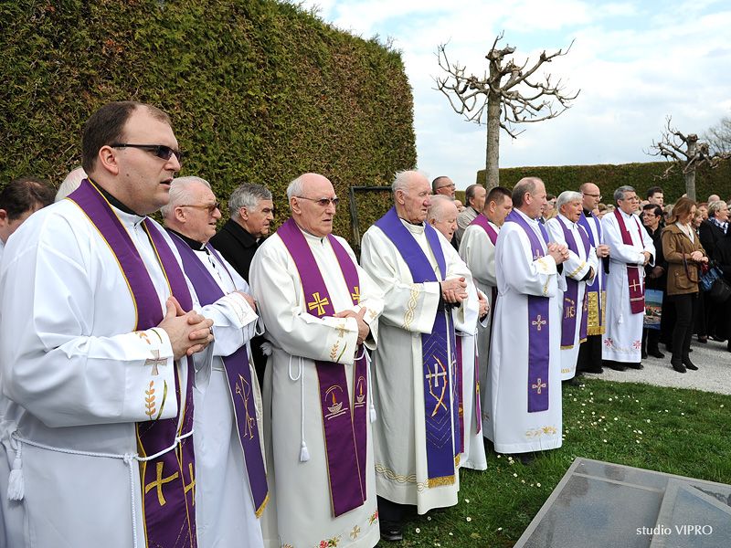 342714817dsc5499345355