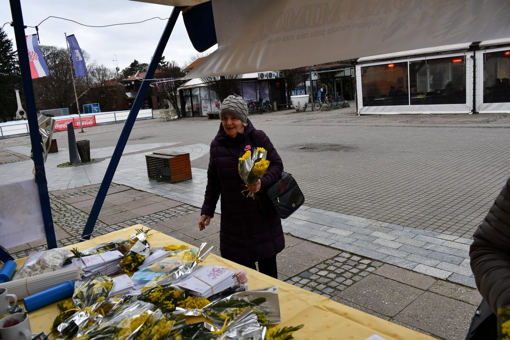 Dan mimoza u Čakovcu