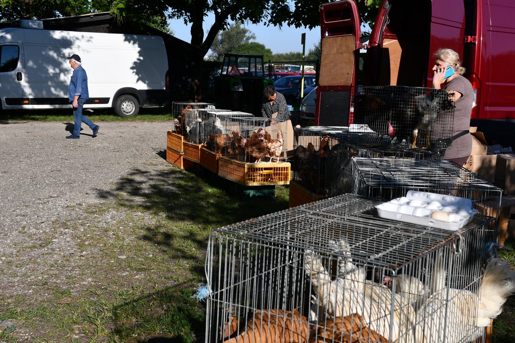 Čakovečki sajam (srijeda, 6.9.2023.)