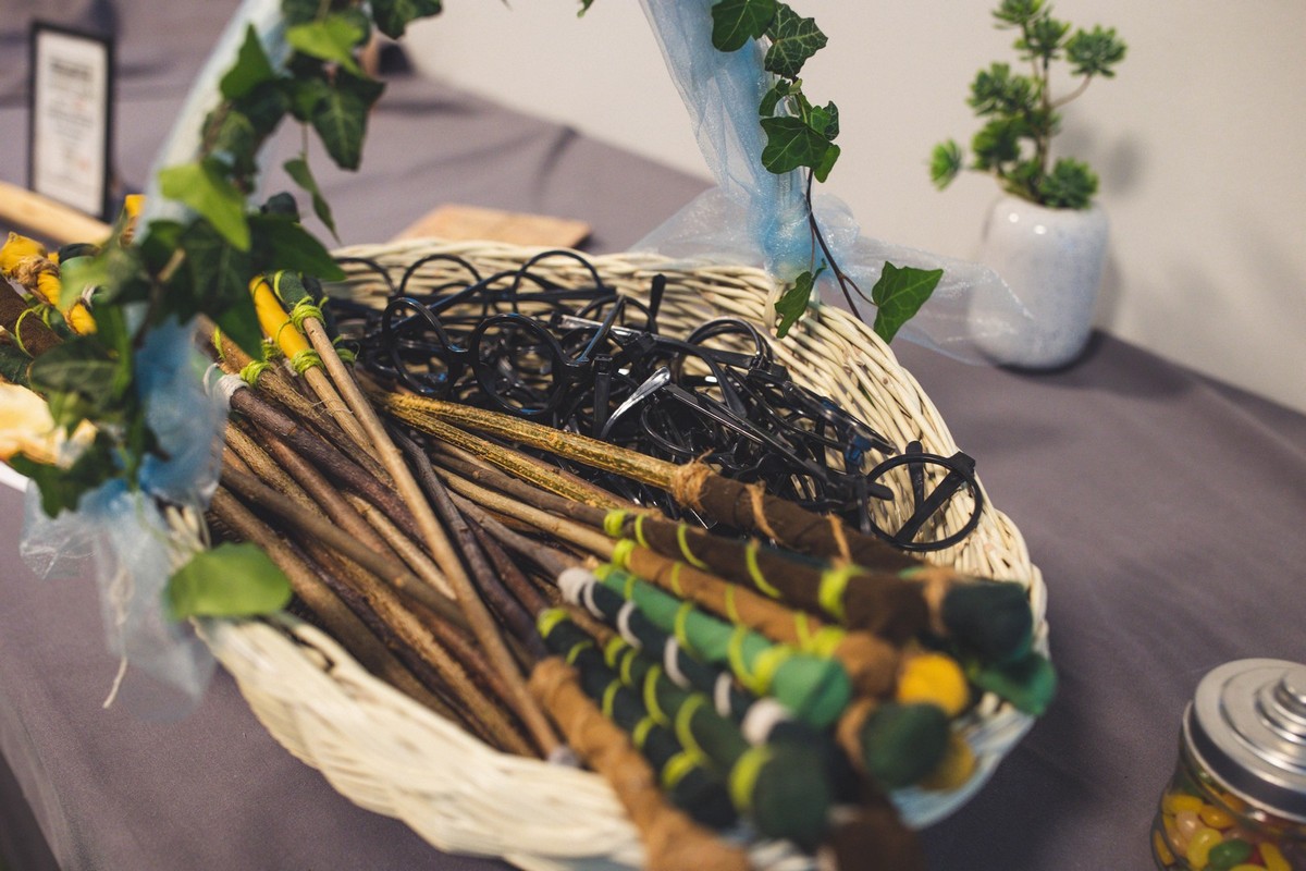 Harry Potter vječanje Harry Potter vječanje