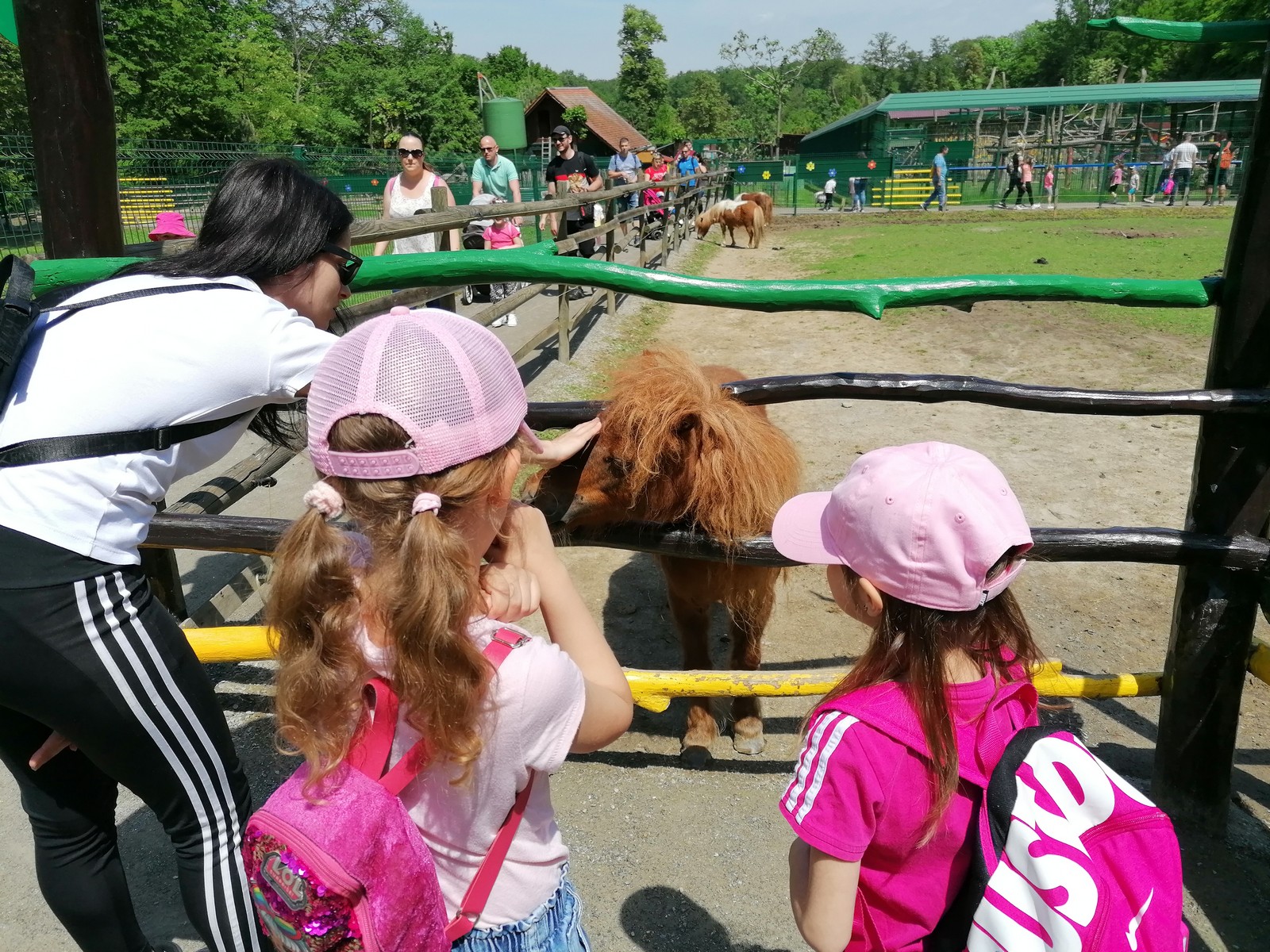 DJEČJI VRTIĆ RIBICA Djeca, odgojiteljice i roditelji posjetili zoološki vrt u Sloveniji