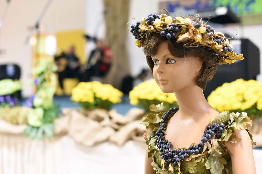 martinje201633446774