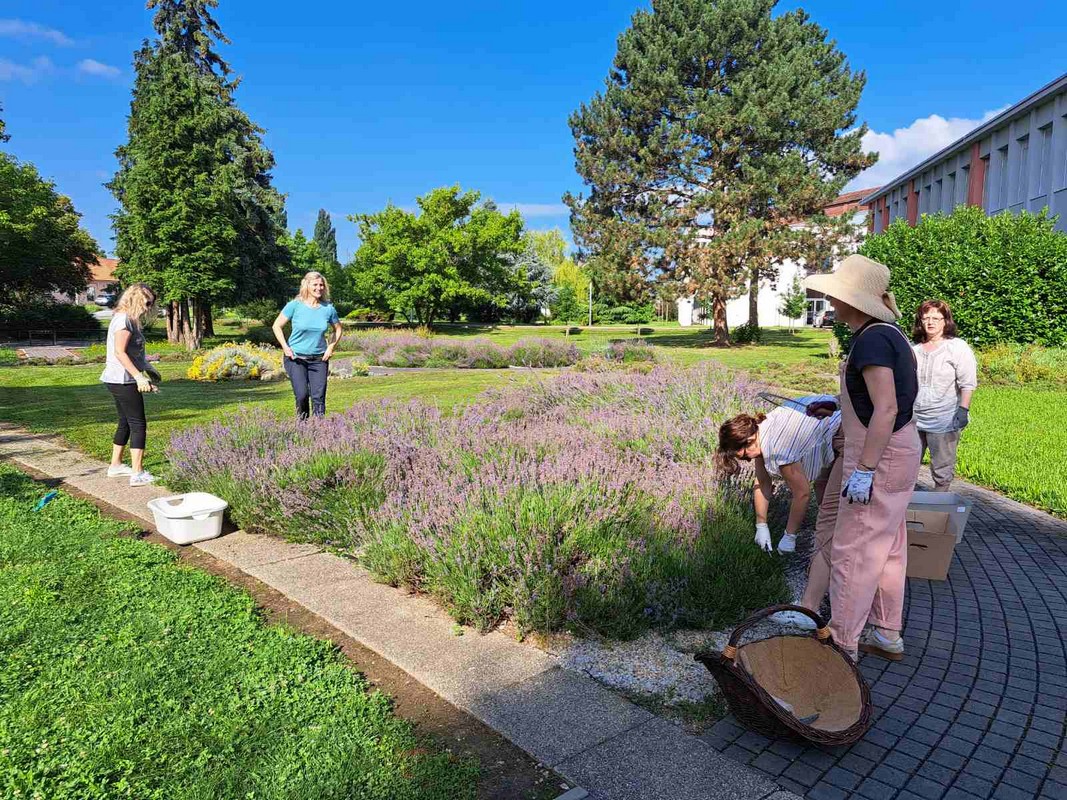 Mirisni vrt ETŠ Čakovec
