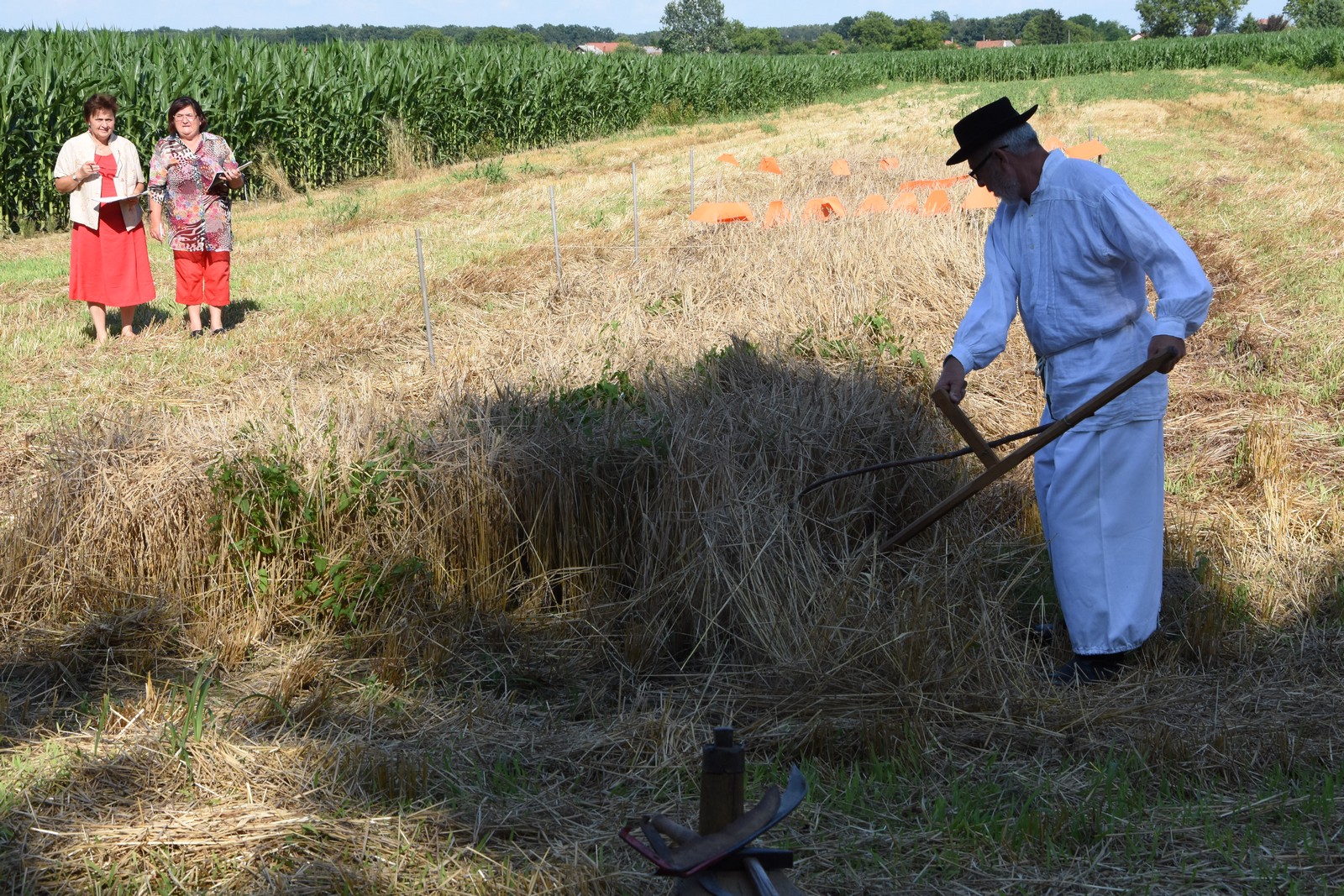 Mamičina žetva u Pušćinama