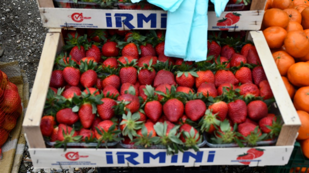 Prohladno jutro na čakovečkom sajmu, no bogata ponuda nije izostala