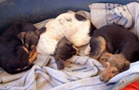 c1b161f497d80fb955510722bb21eb3