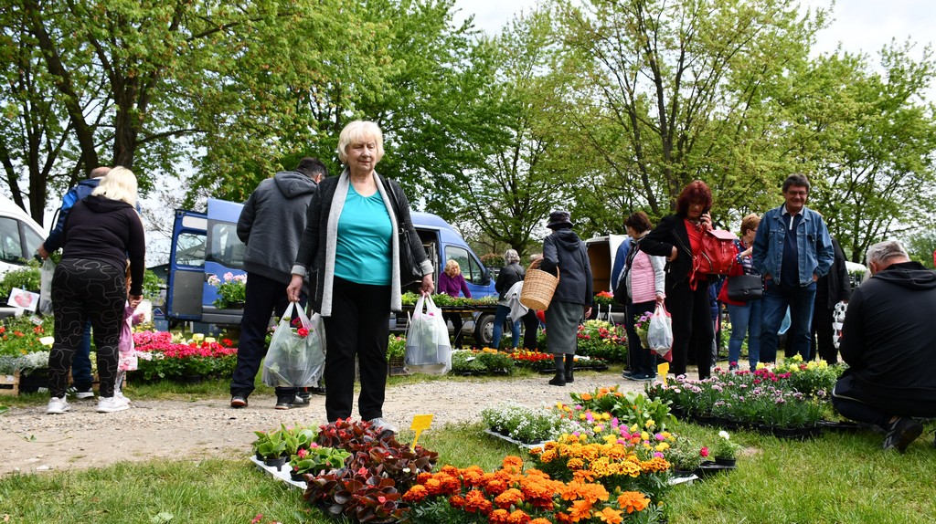 ČAKOVEČKI SAJAM SRIJEDOM Najveći interes i dalje vlada za presadnice