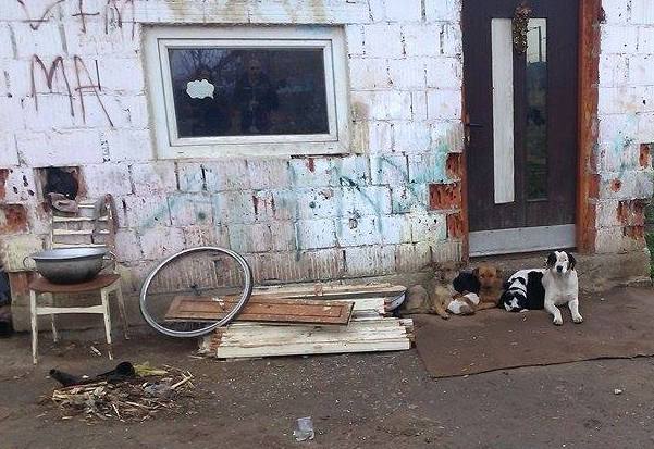 1231105711861308247349301732283