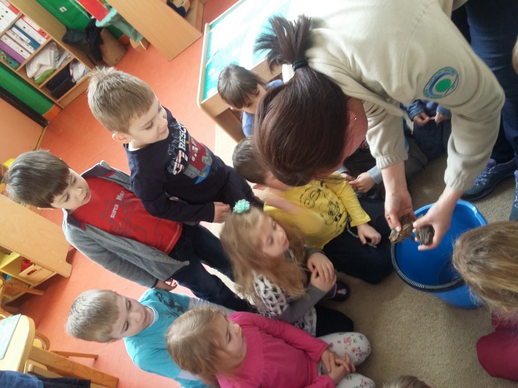 20160330093336842655