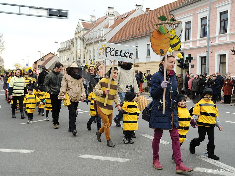 333614268dsc3434839981