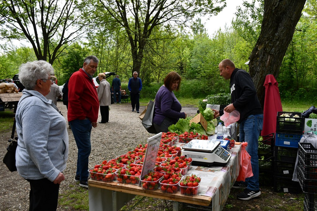 ČAKOVEČKI SAJAM SRIJEDOM Najveći interes i dalje vlada za presadnice