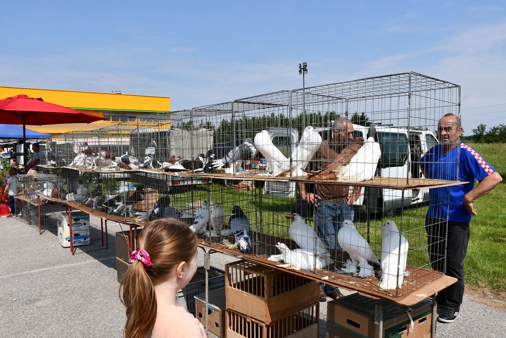 FOTO Izložba malih životinja privukla brojne izlagače, ali i posjetitelje