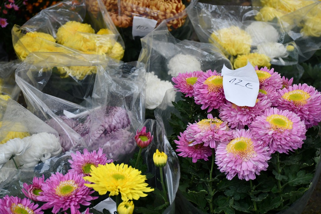 IMA SVEGA I SVAČEGA Čakovečki sajam srijedom