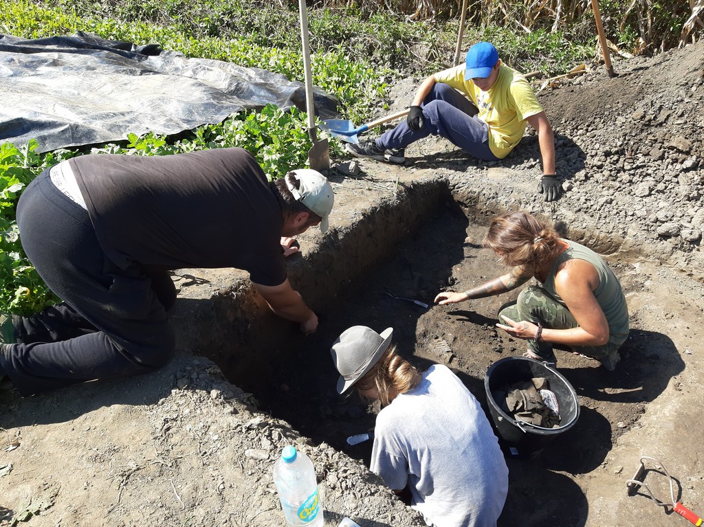 Viša kustosica Branka Marciuš