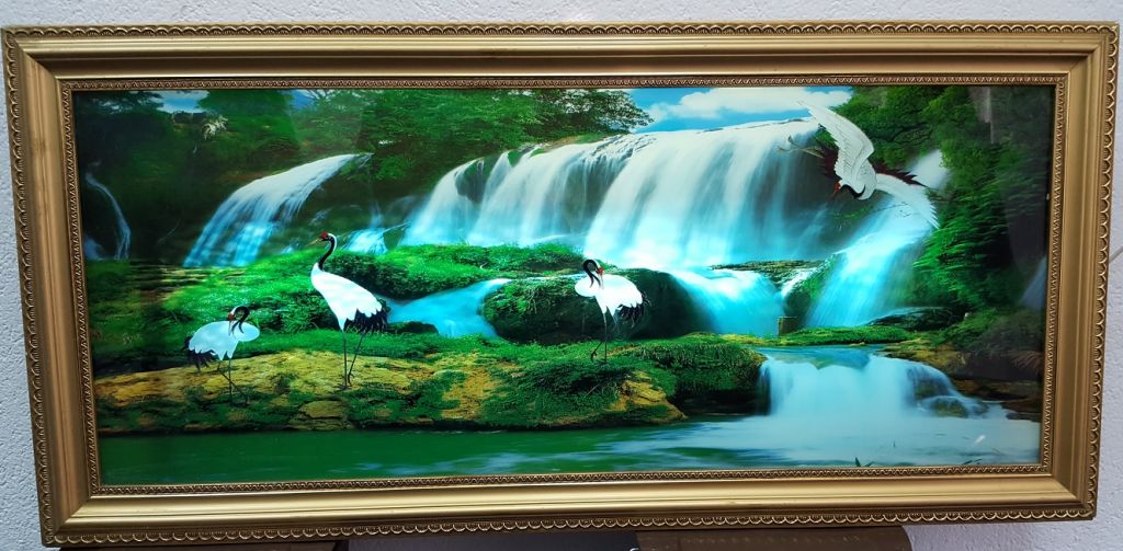 slikasvijetiljkaobnovljen840346