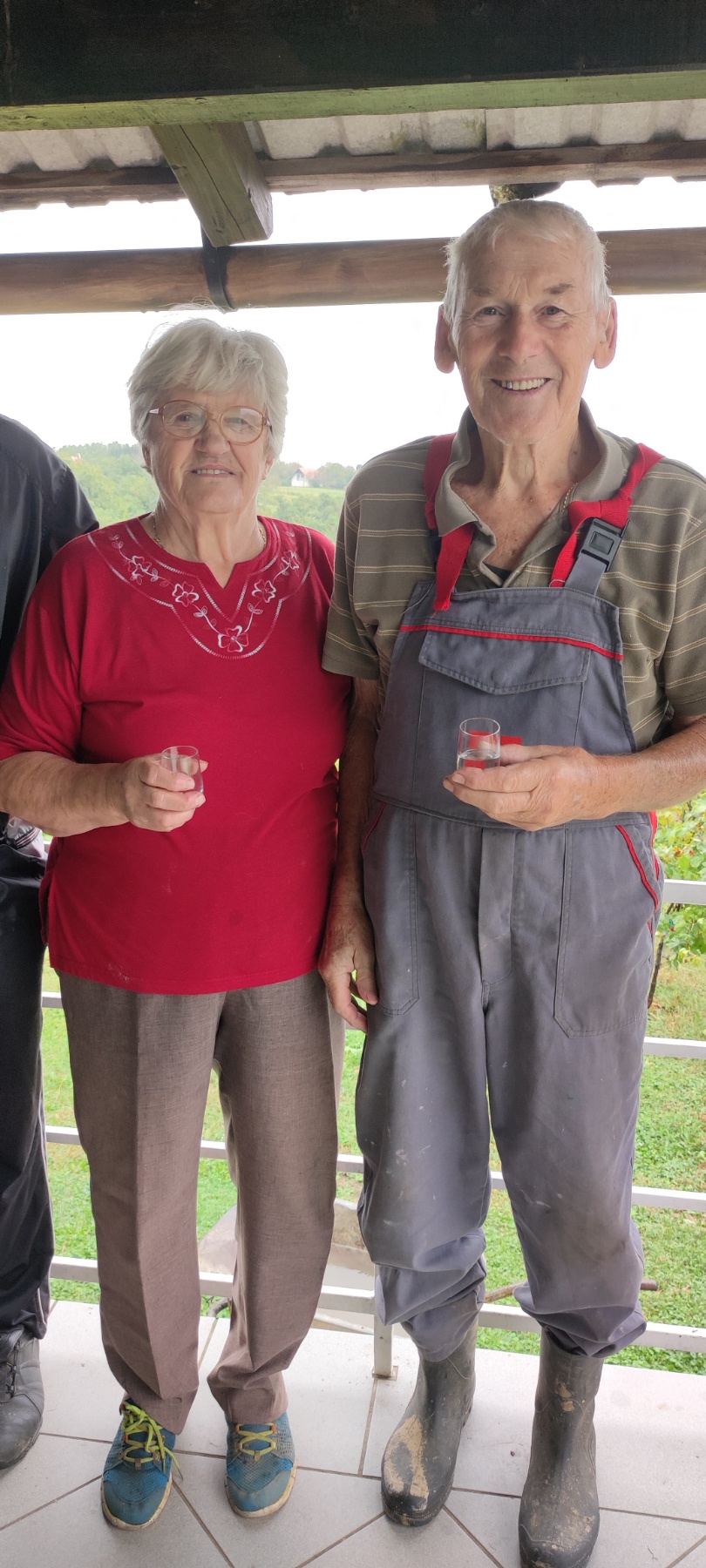 Berba kod obitelji Tomašić