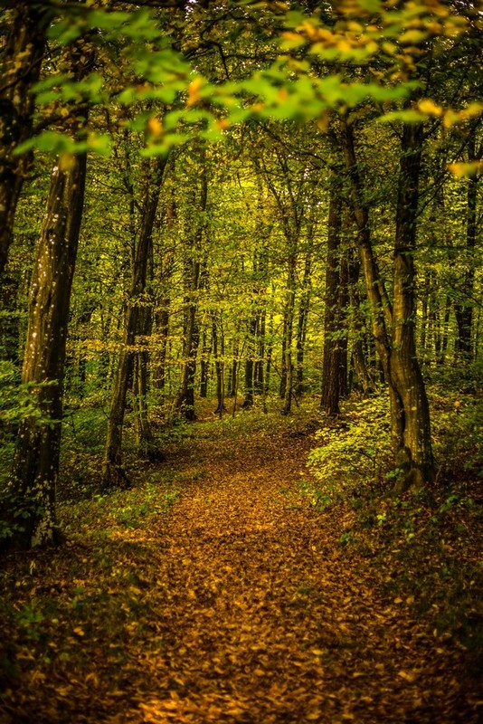 Jesenska rapsodija kroz objektiv Miroslave Novak