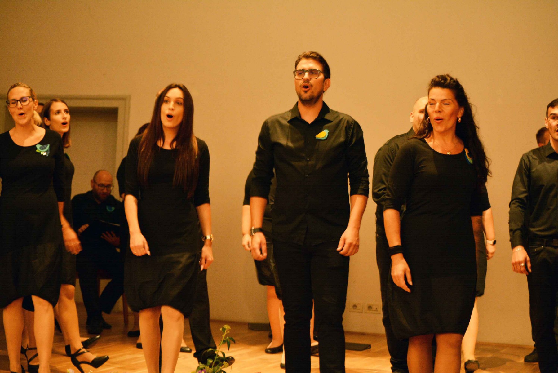 PREDIVNA SUBOTNJA VEČER Koncert Ansambla Pučpuljike