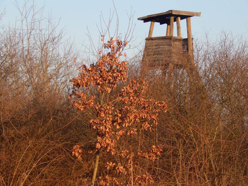 miaguberinicjesensvetimartin187