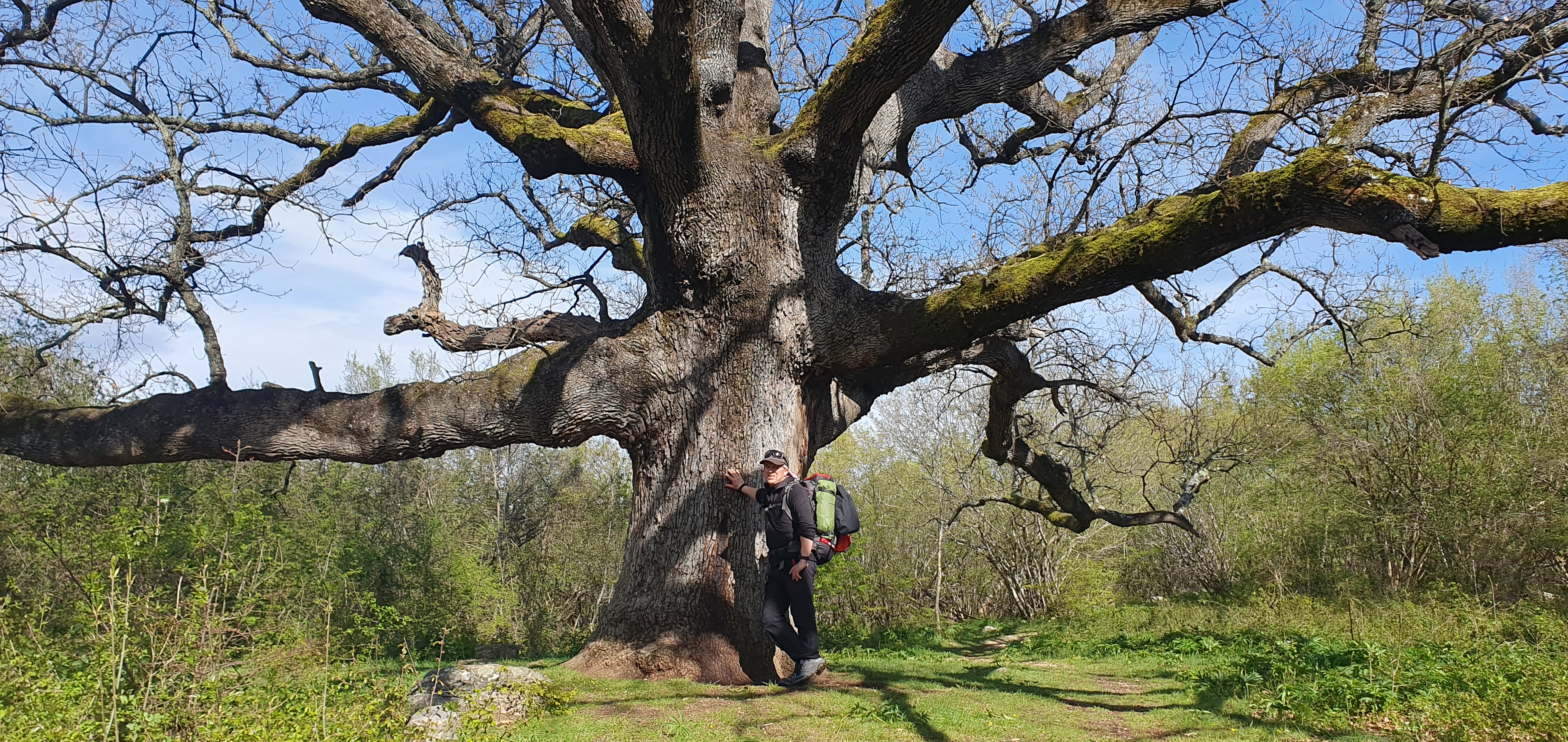 CAMINO KRKA Naši čitatelji Saša Turk i Danijel Mikolaj šalju nam fotografije njihove velike avanture CAMINO KRKA Naši čitatelji Saša Turk i Danijel Mikolaj šalju nam fotografije njihove velike avanture