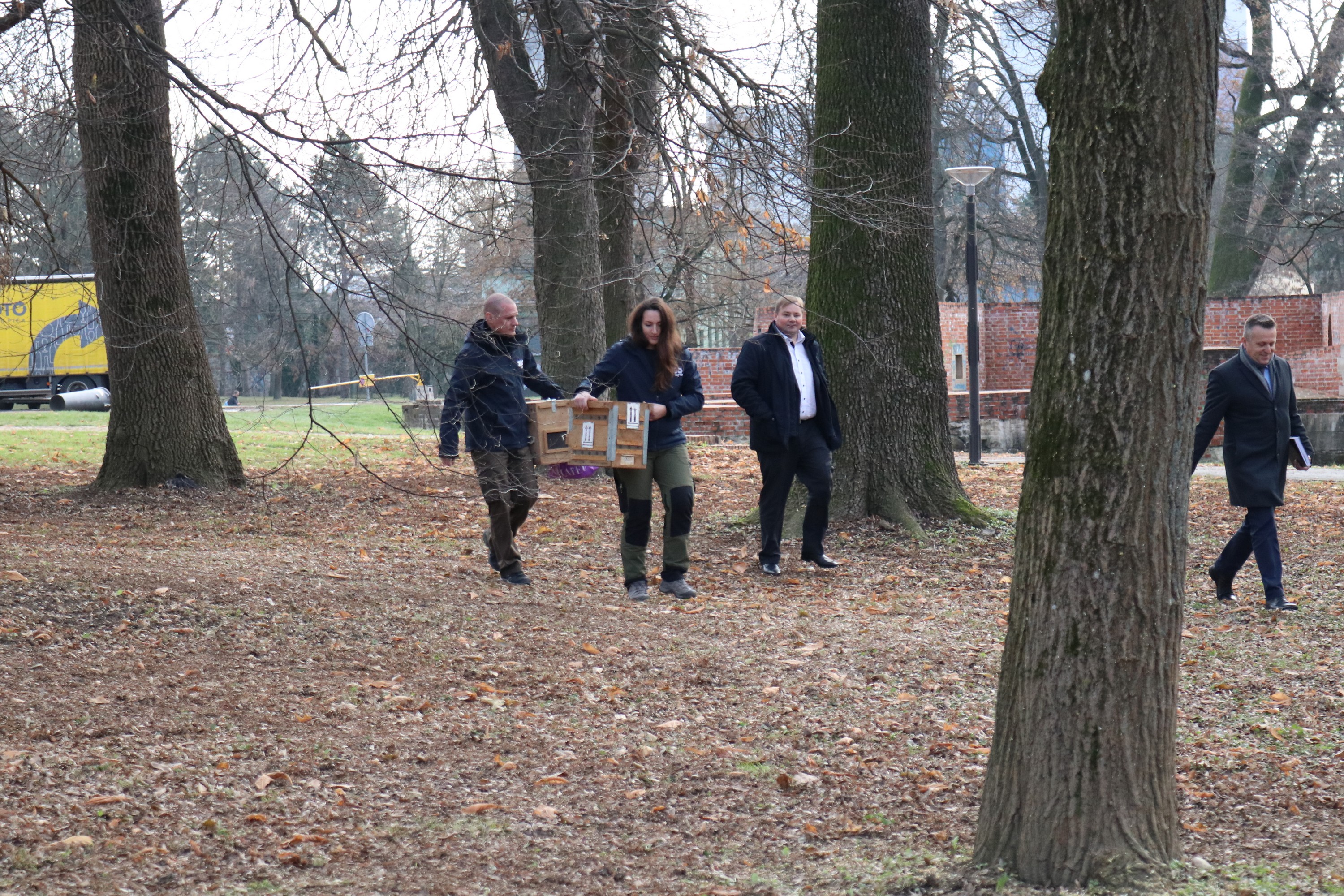 Crvene vjeverice stigle u Čakovec