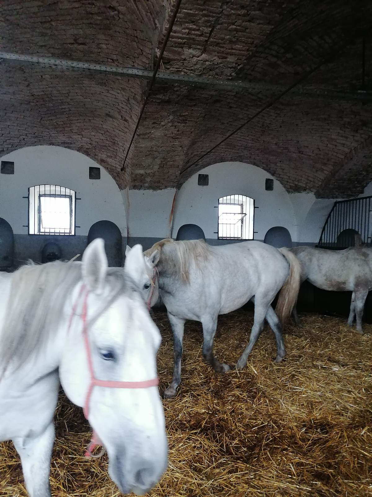 FOTO Studijsko putovanje naših branitelja i njihovih obitelji u Zapadnu Slavoniju