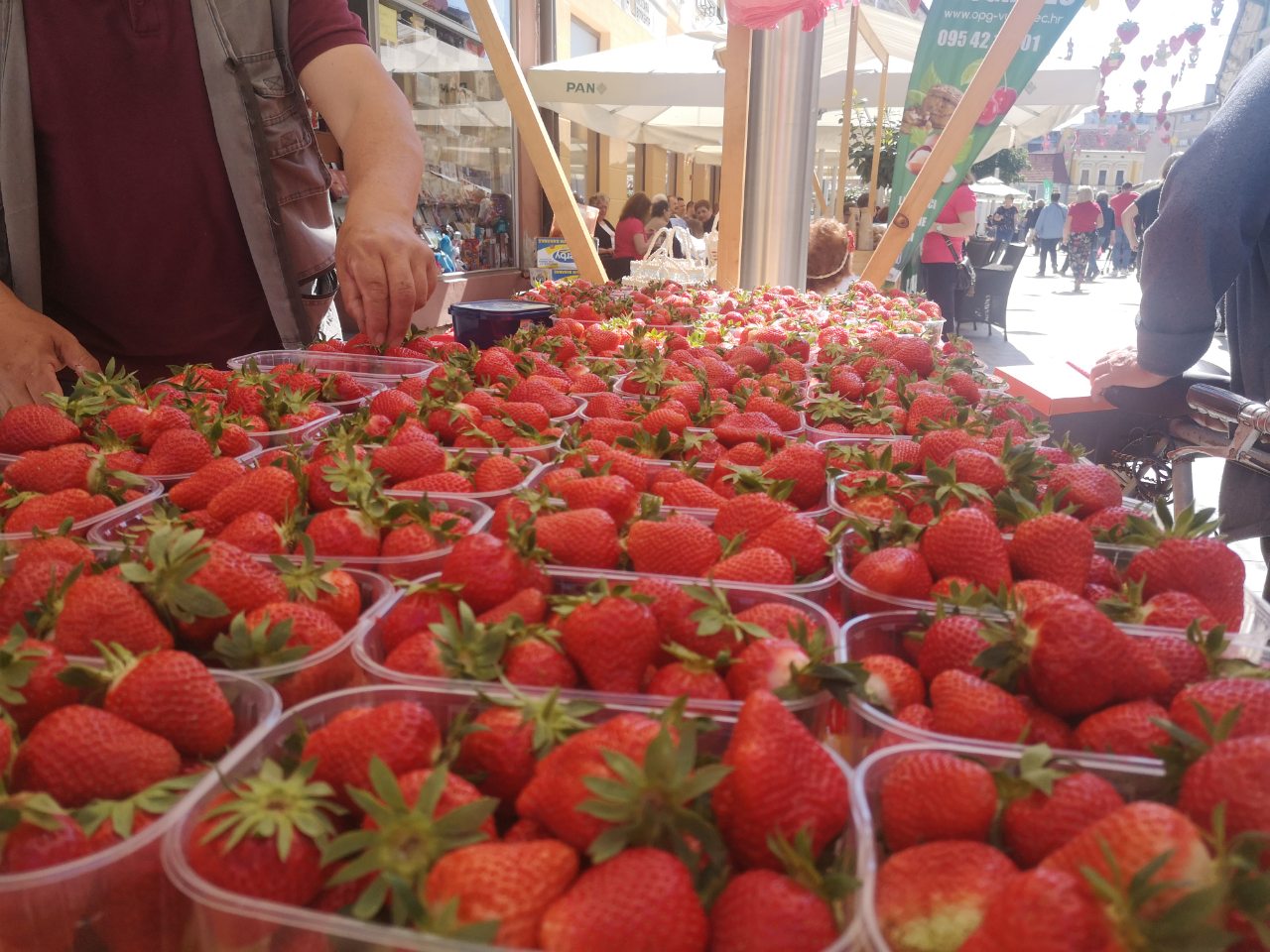 Festival cvijeća, jagoda i tradicije u Čakovcu