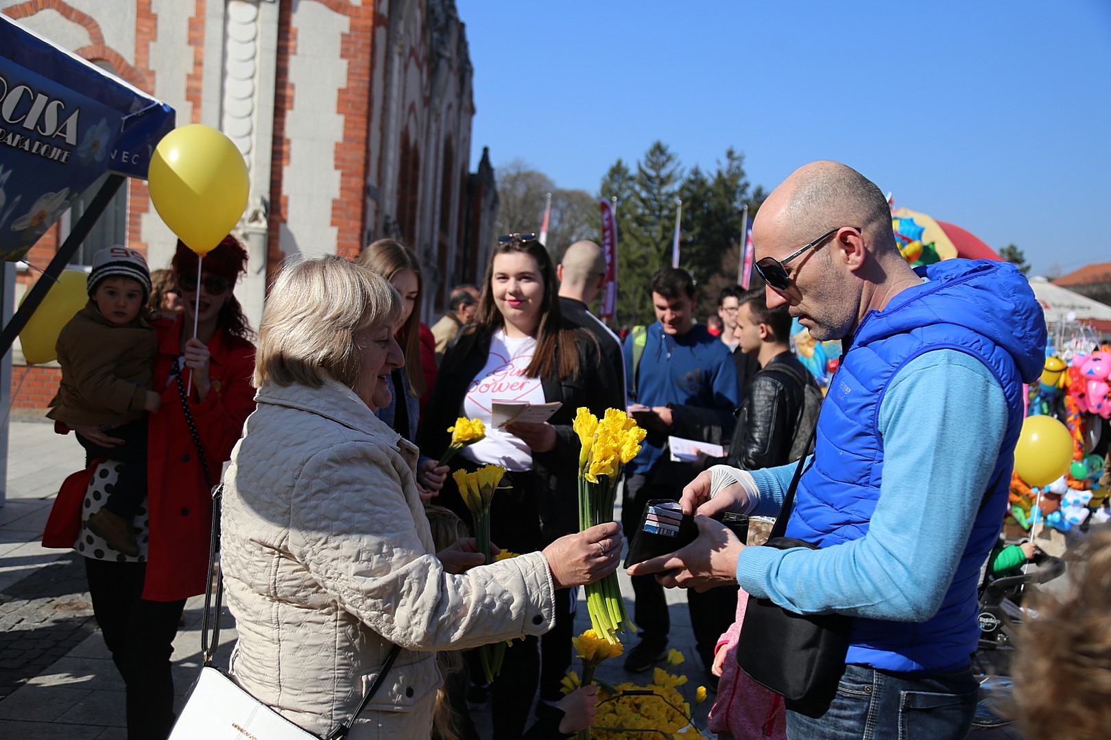 Dan narcisa – Međimurje obojeno u žuto