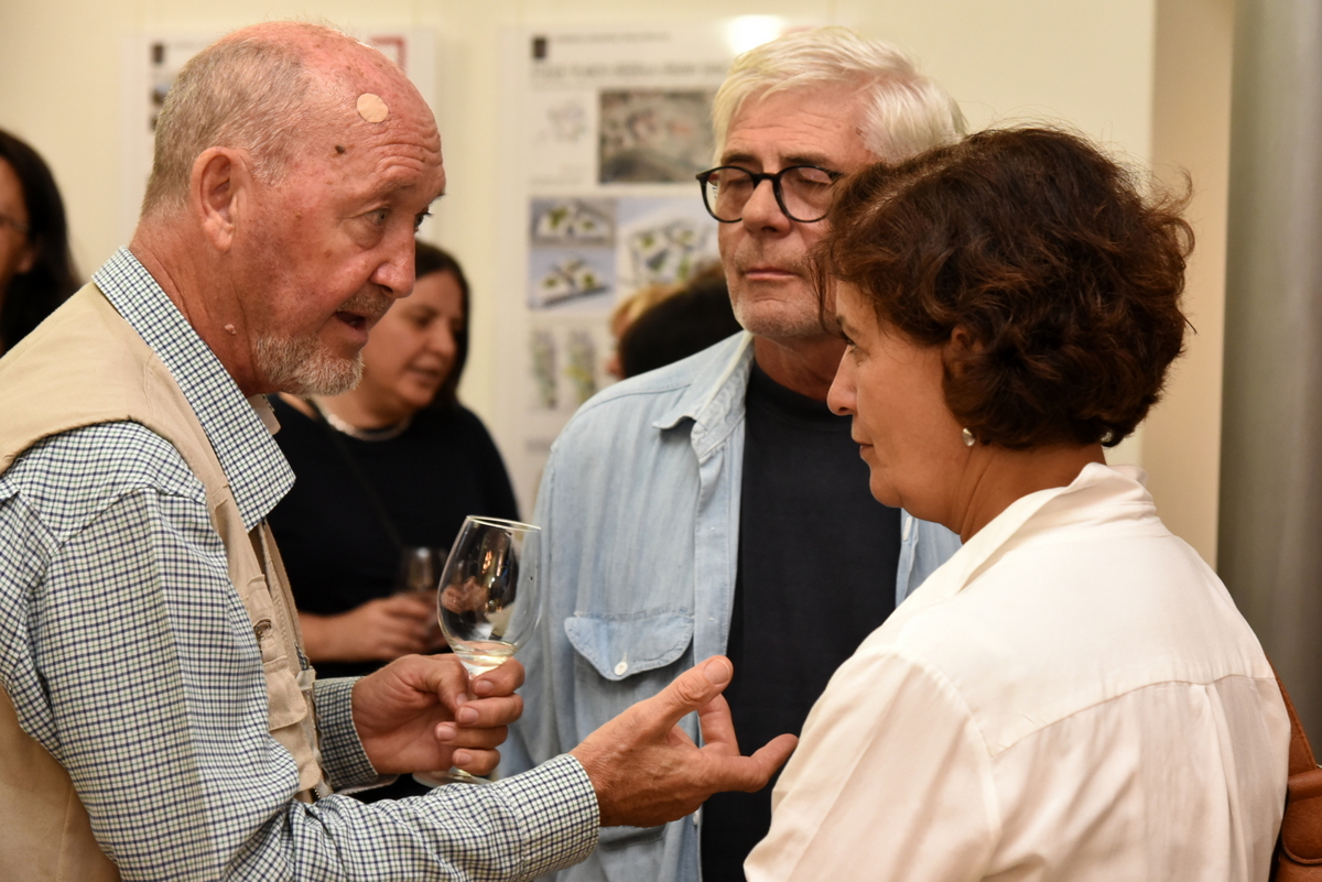 Urbanističko-arhitektonska izložba ‘UrboArhitektura 20+20’ u zgradi Scheier