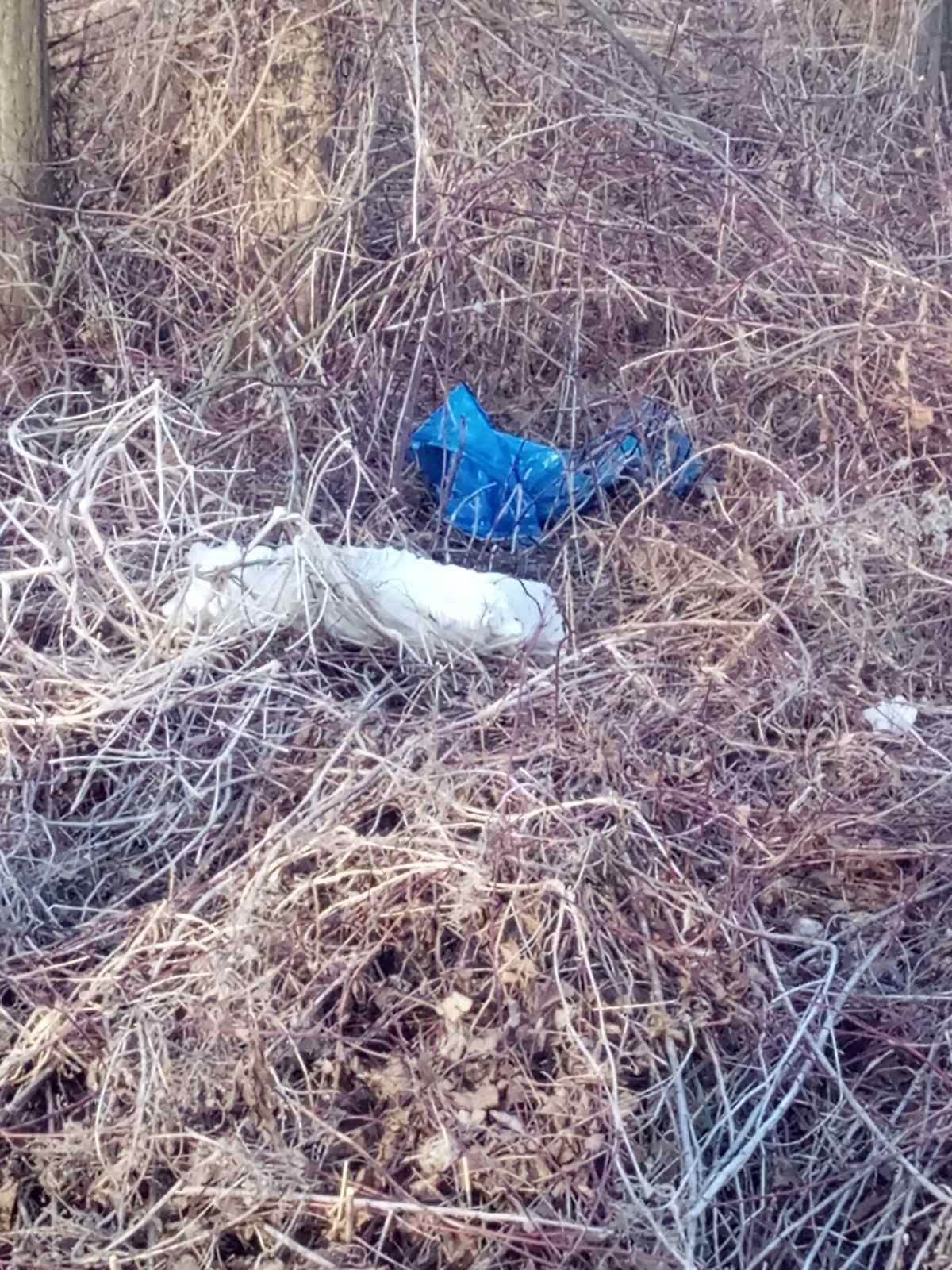 Hrpe smeća u šumi samo 50 metara od prvih kuća u Kotoribi