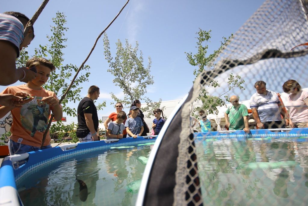 slika00017628044914274