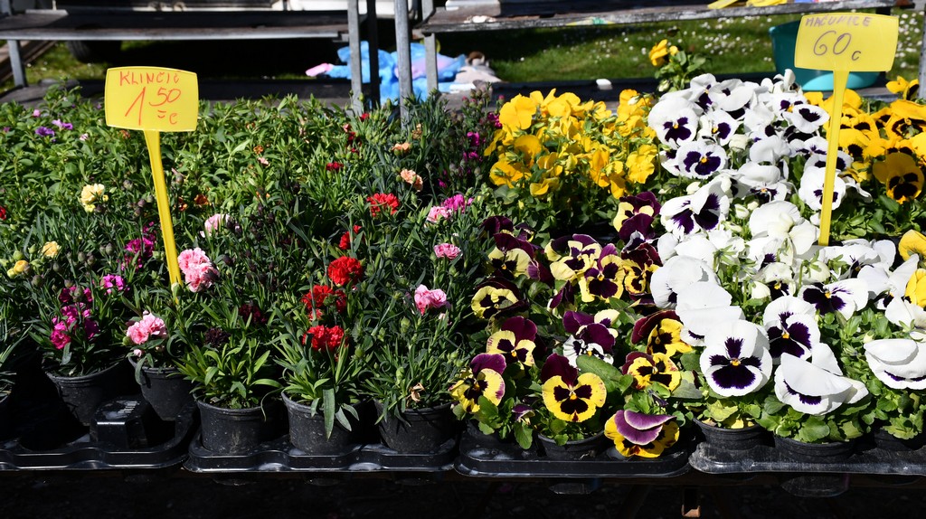 Proljetne temperature izmamile brojne posjetitelje na sajam u Čakovcu