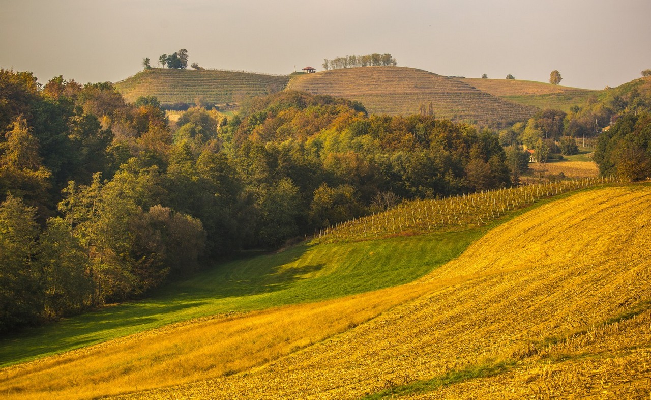 Jesenska rapsodija kroz objektiv Miroslave Novak