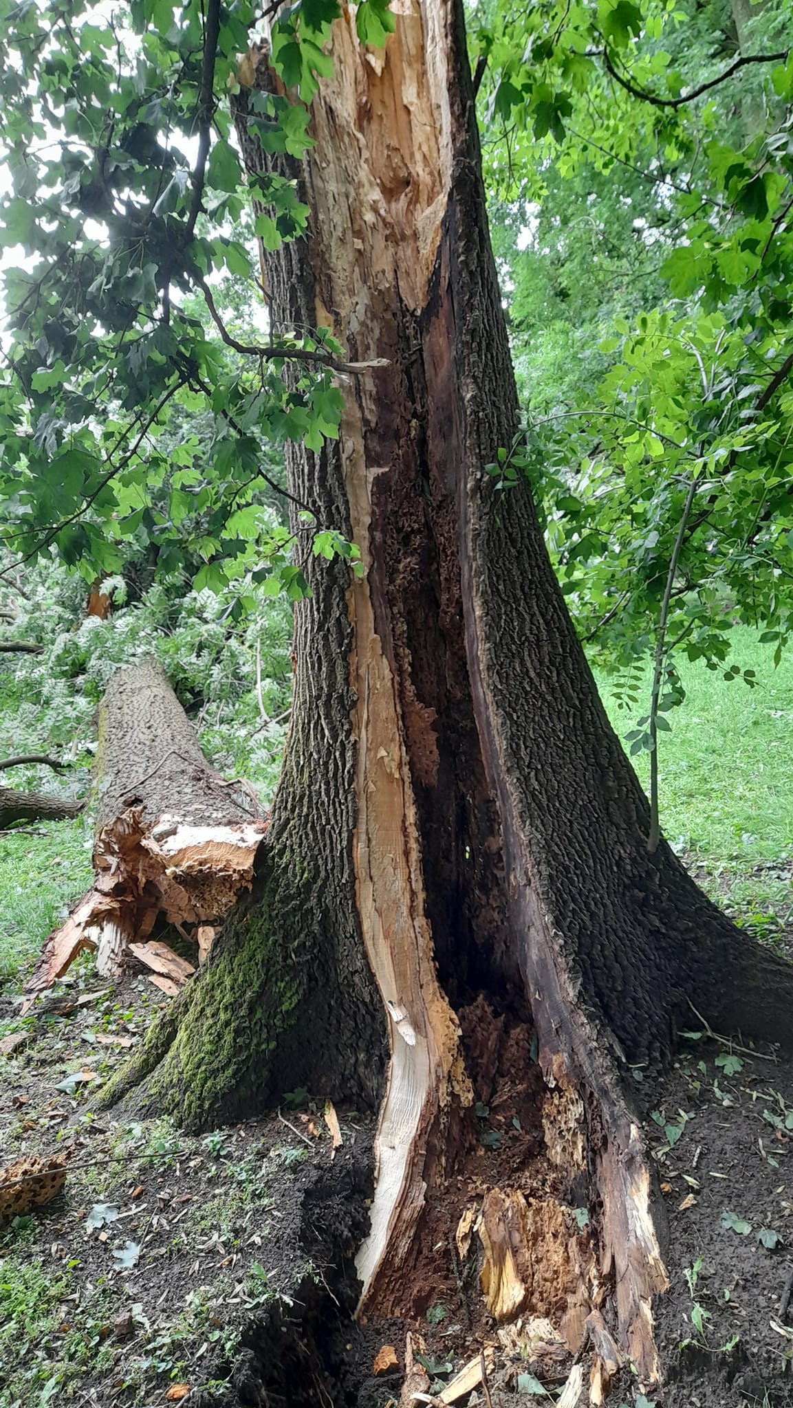 NAŠI VATROGASCI Tijekom jučerašnjeg nevremena imali su oko 50 intervencija