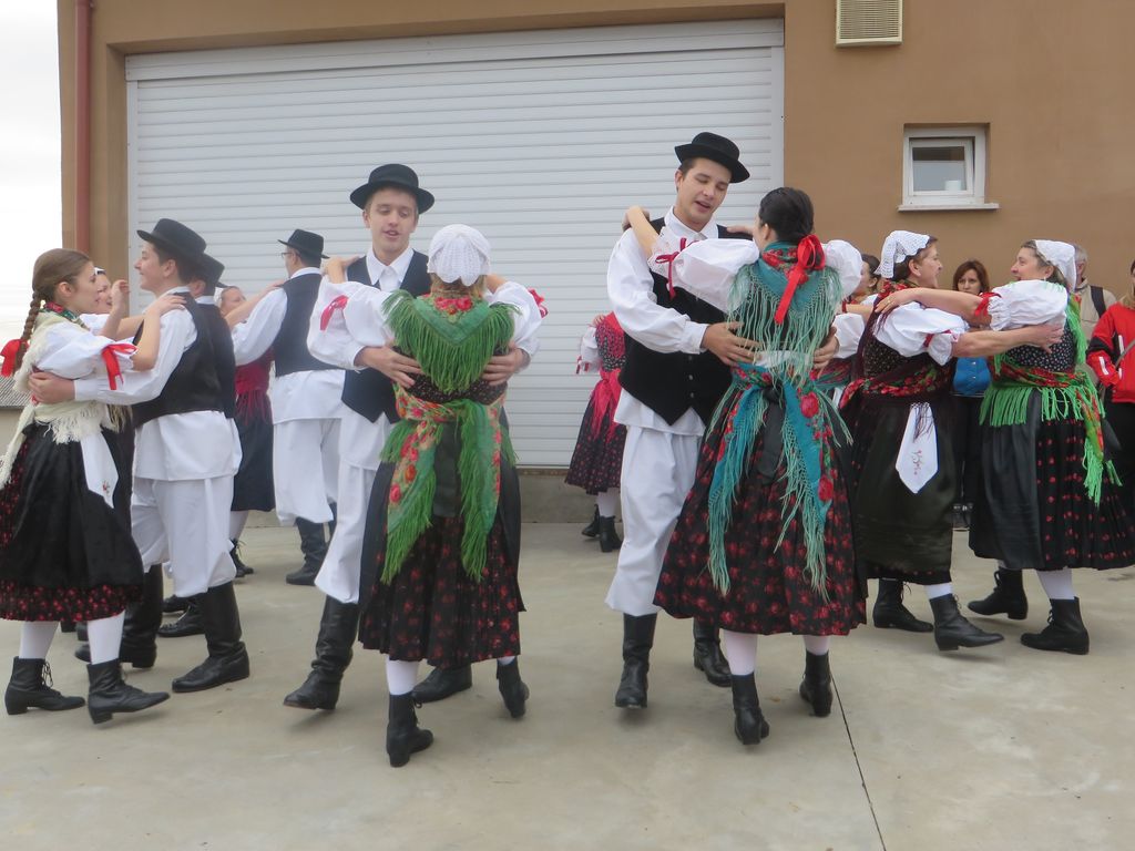 vincekovpohod18612731