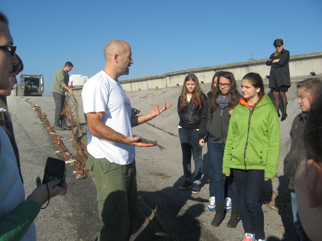 151112monitoring21449549