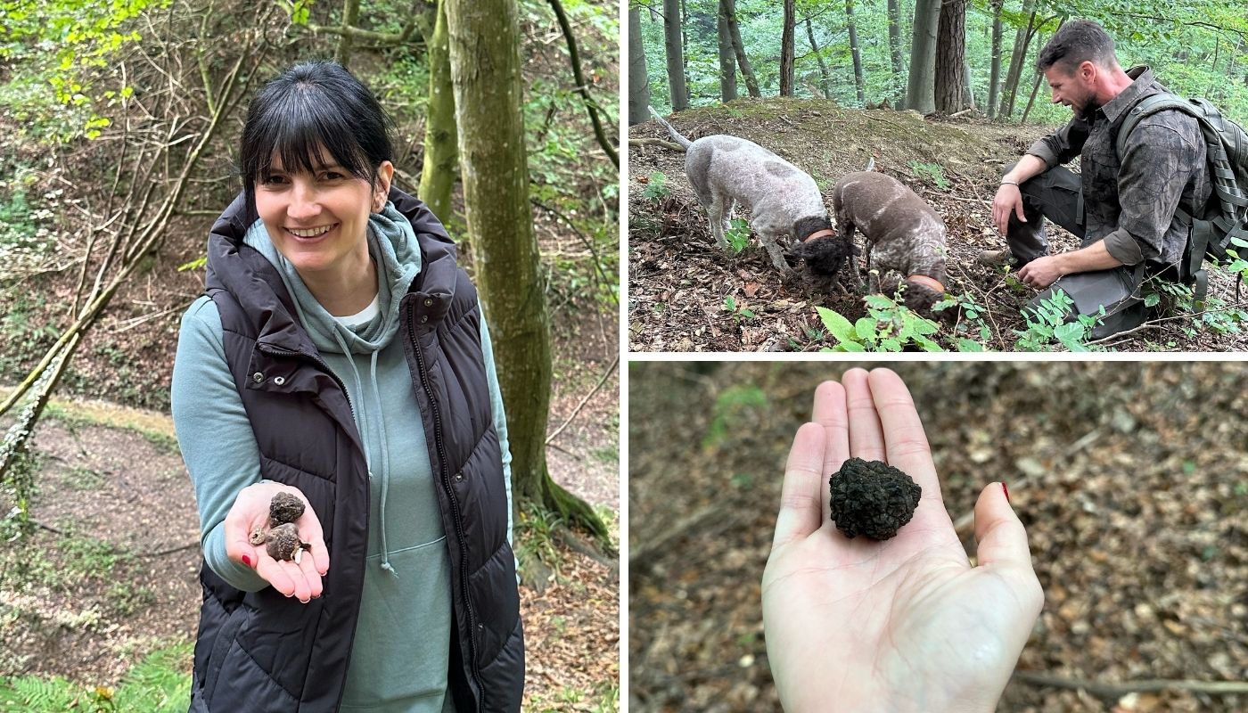 Image 5859491 (auto)