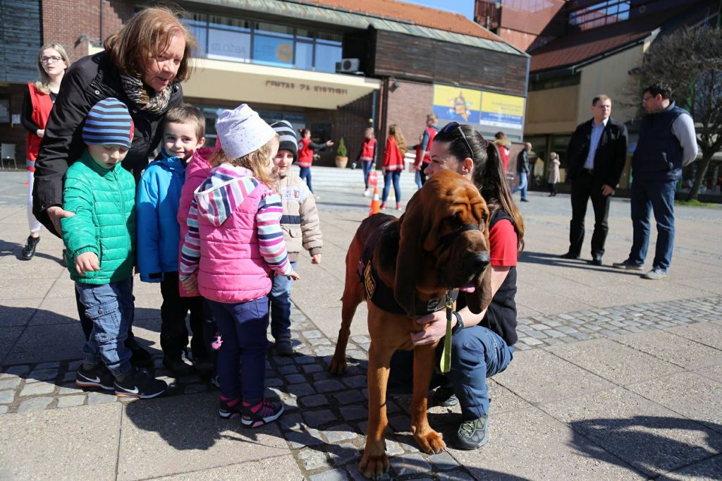 2979293610214739851066852328690