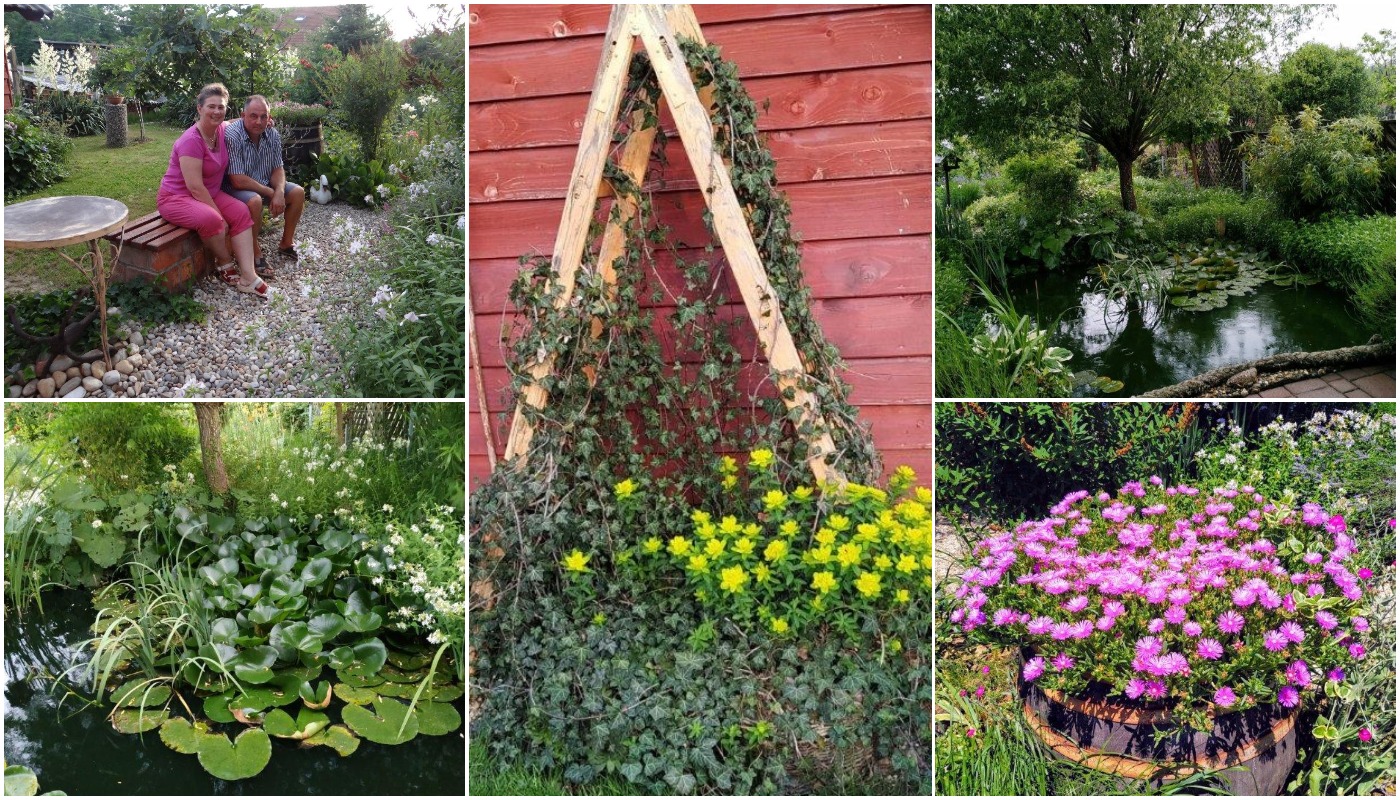 Biljno carstvo Vanje i Alena u Šenkovcu: Njihov vrt ‘Četiri godišnja doba’ mami poglede