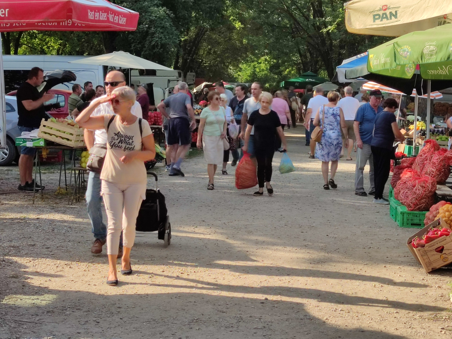 Image 5810799 (auto)