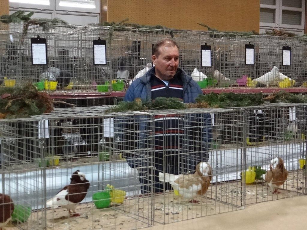 FOTO Održana izložba malih životinja u Kotoribi: Proglašeno čak 42 šampiona!
